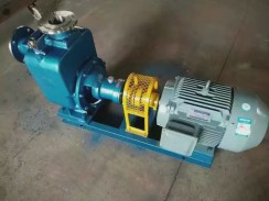 北京不銹鋼自吸泵